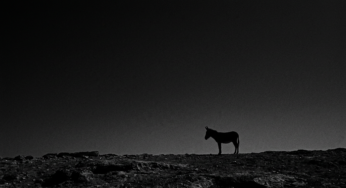 رؤية الحمار في المنام: هل هي رسالة عن الصبر أم تحذير من أعباء خفية؟